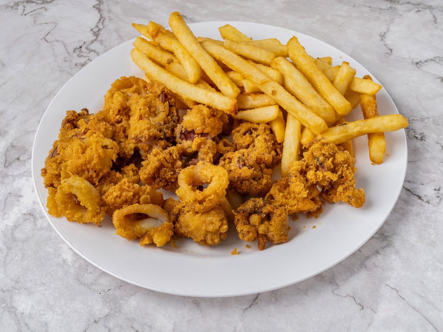 Lightly fried calamari and fries at Mayo Grill Aurora